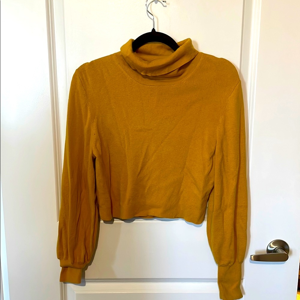 Aritzia Wilfred Turtleneck Sweater